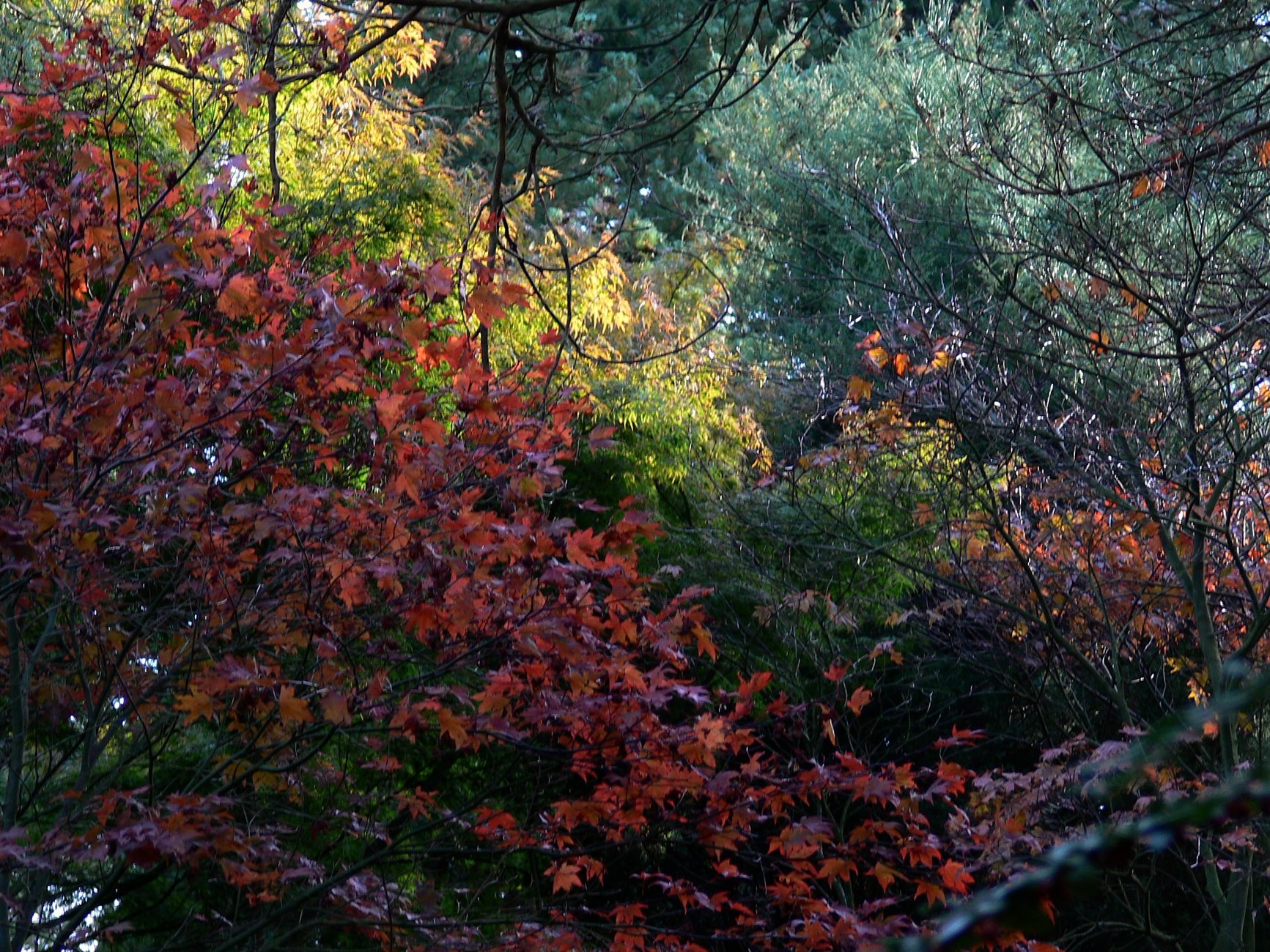 bois-des-moutiers-fall-2012-1-.jpg