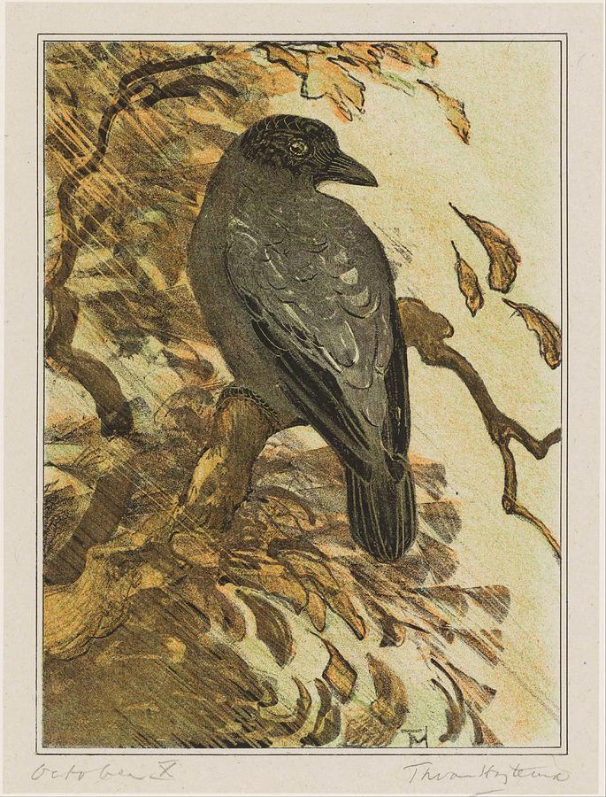bonte-kraai-op-tak-theo-van-hoytema-1878-1109-theo-van-hoytema.jpg