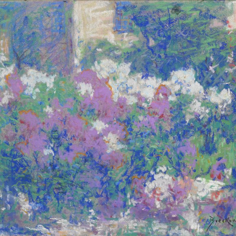 Breckenridge_Phlox copy.jpg