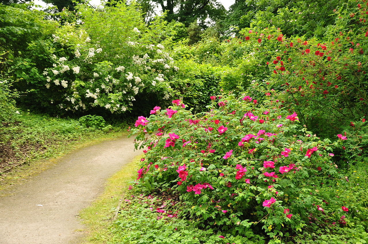 Brodsworth_Hall_gardens_(9306).jpg