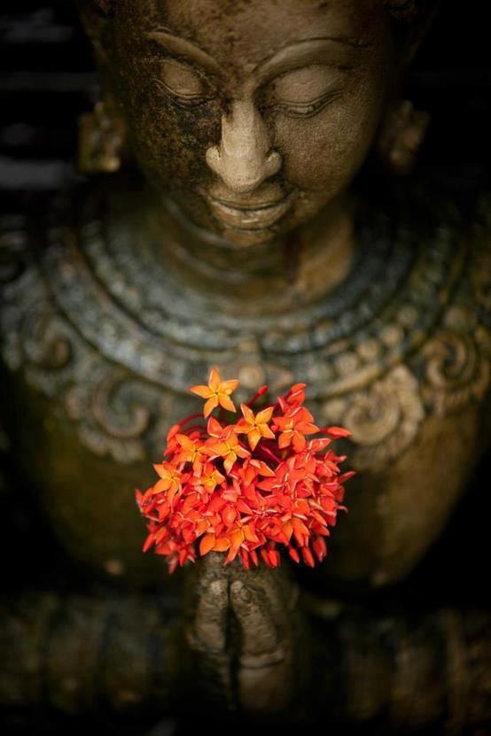 Buddha-with-Flowers.jpeg