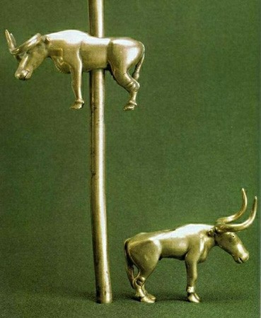 bulls.jpg