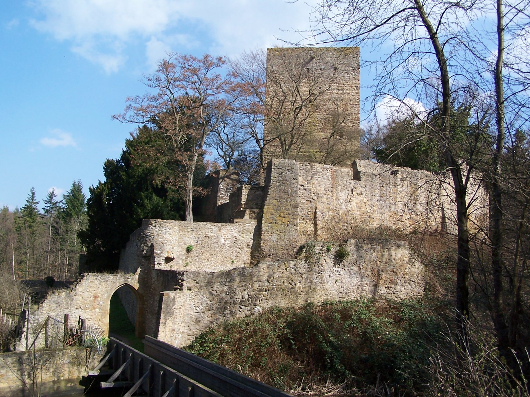 Burg_Hardtburg_(002).jpg