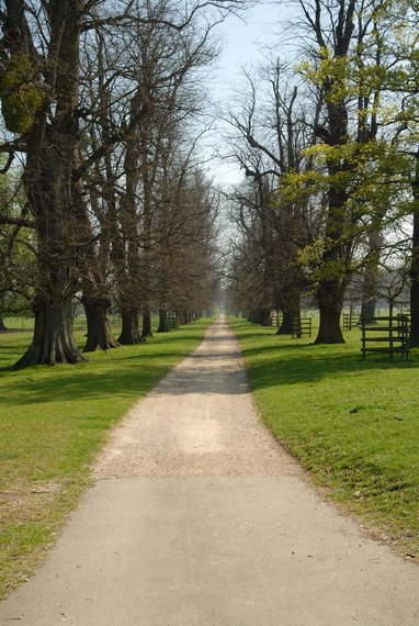 Burghley_House_Grounds_-_geograph.org.uk_-_661479.jpg
