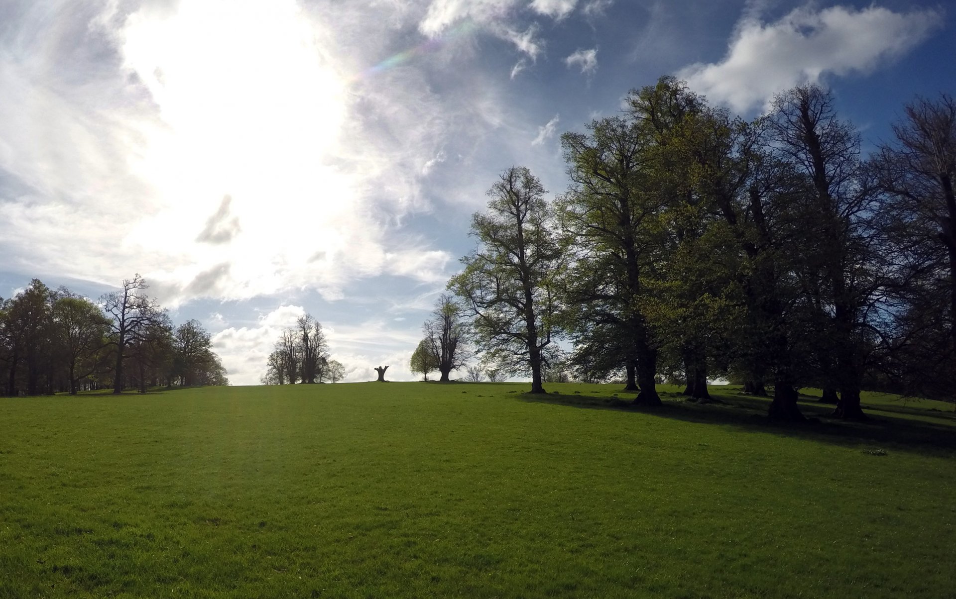 Burghley_House_park,_landcape_april_2017a_05.jpg