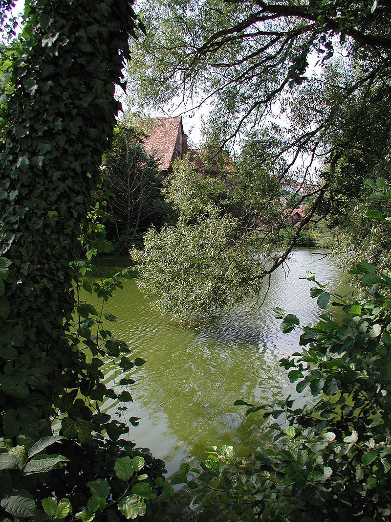 Burgsinn-MSP-033.JPG