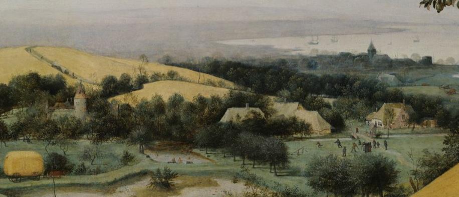 Campo-Agriculrbolrrr.jpg