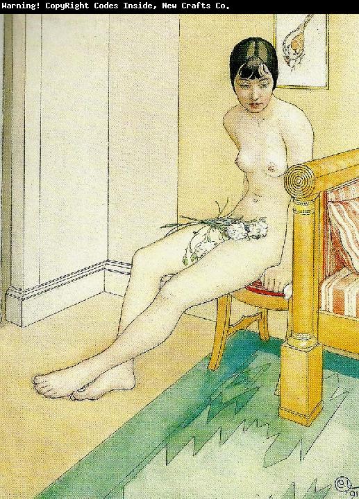 Carl Larsson-449722.jpg