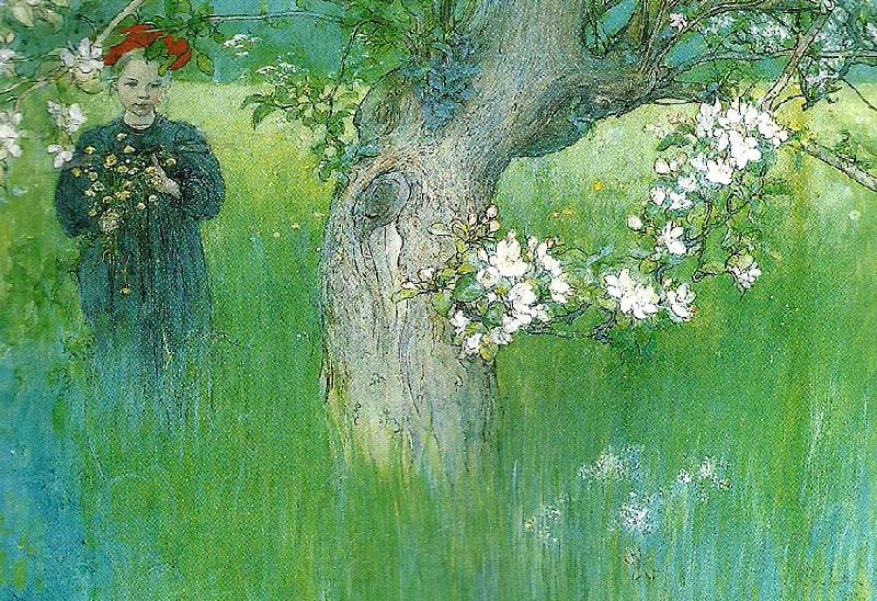 Carl Larsson-892225.jpg