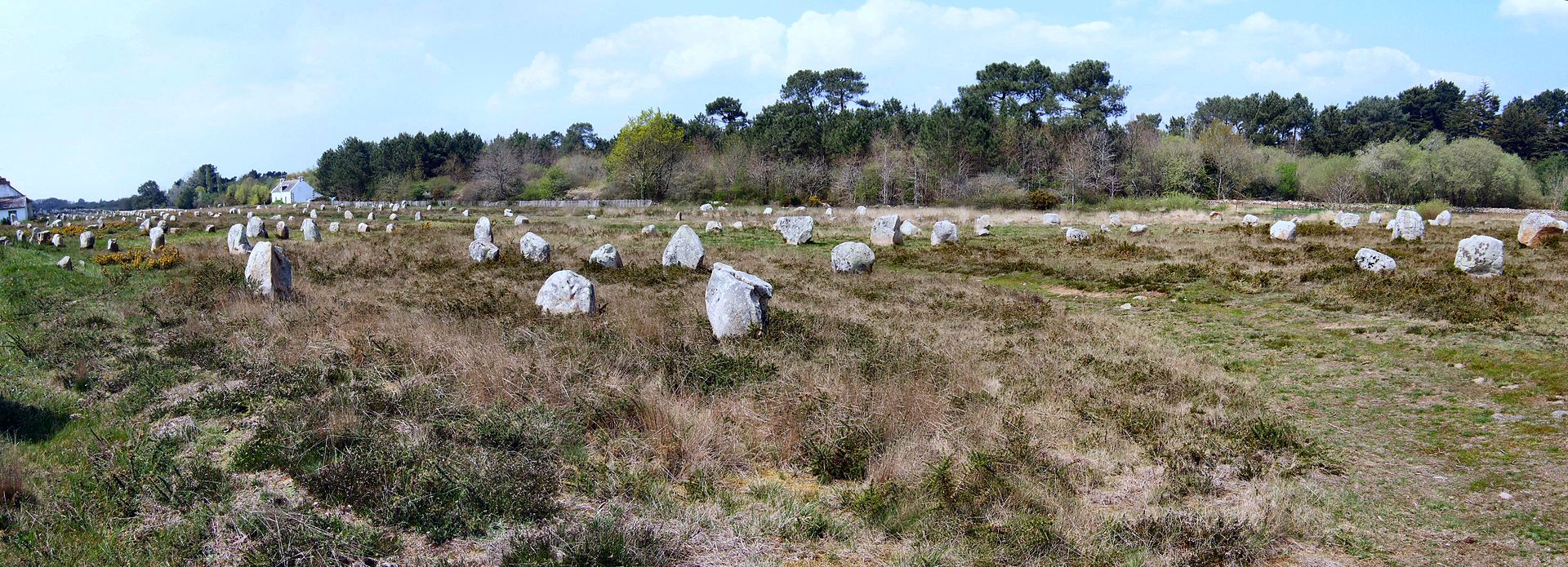 Carnac_Ménec_alignments.jpg