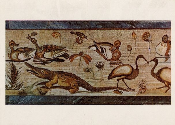 Casa-FAuno-Mosaico.jpg