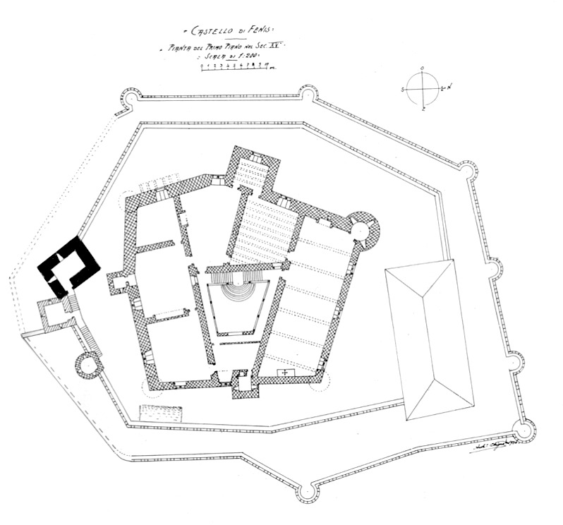 Cast_fenis_pianta_fig_146_nigra.tiff.jpg