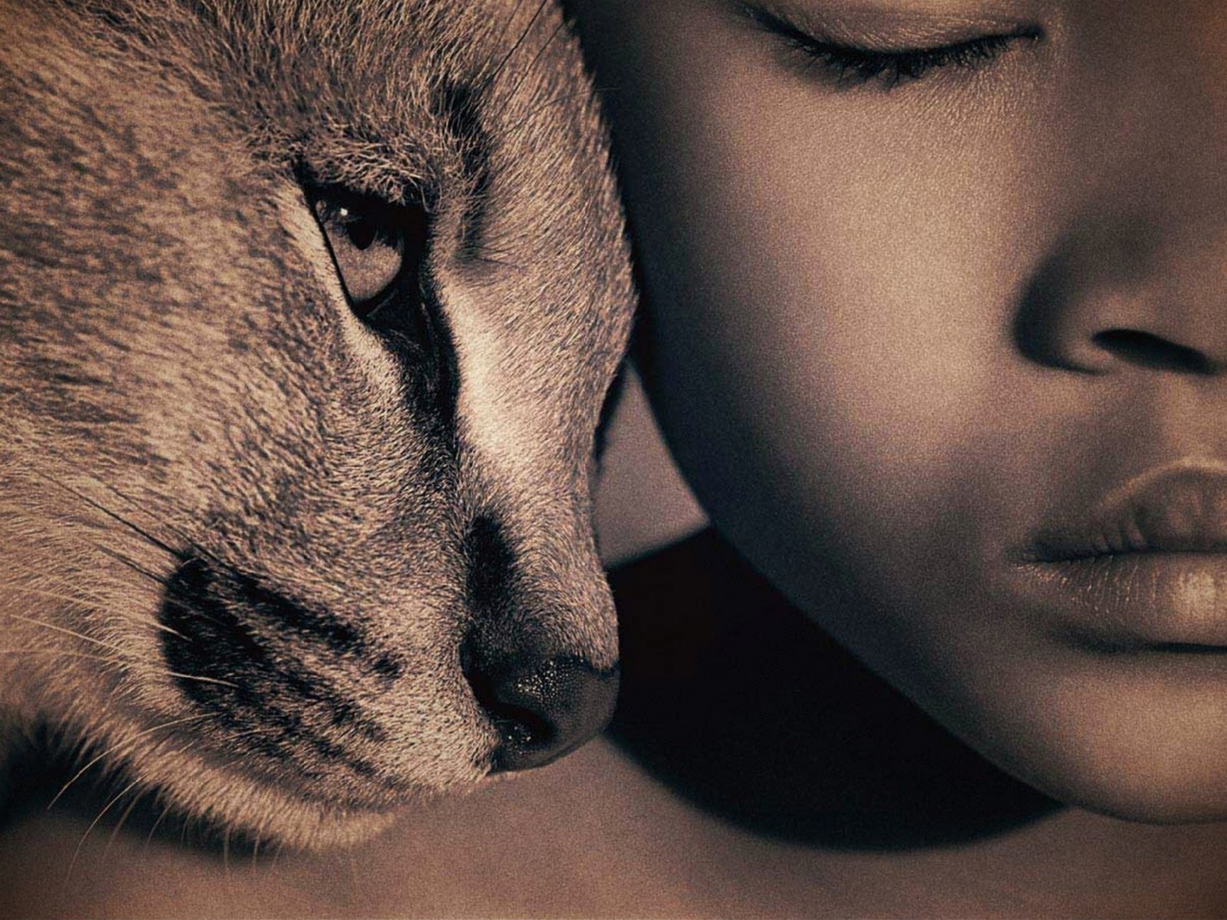 Cat-and-child-together.jpg