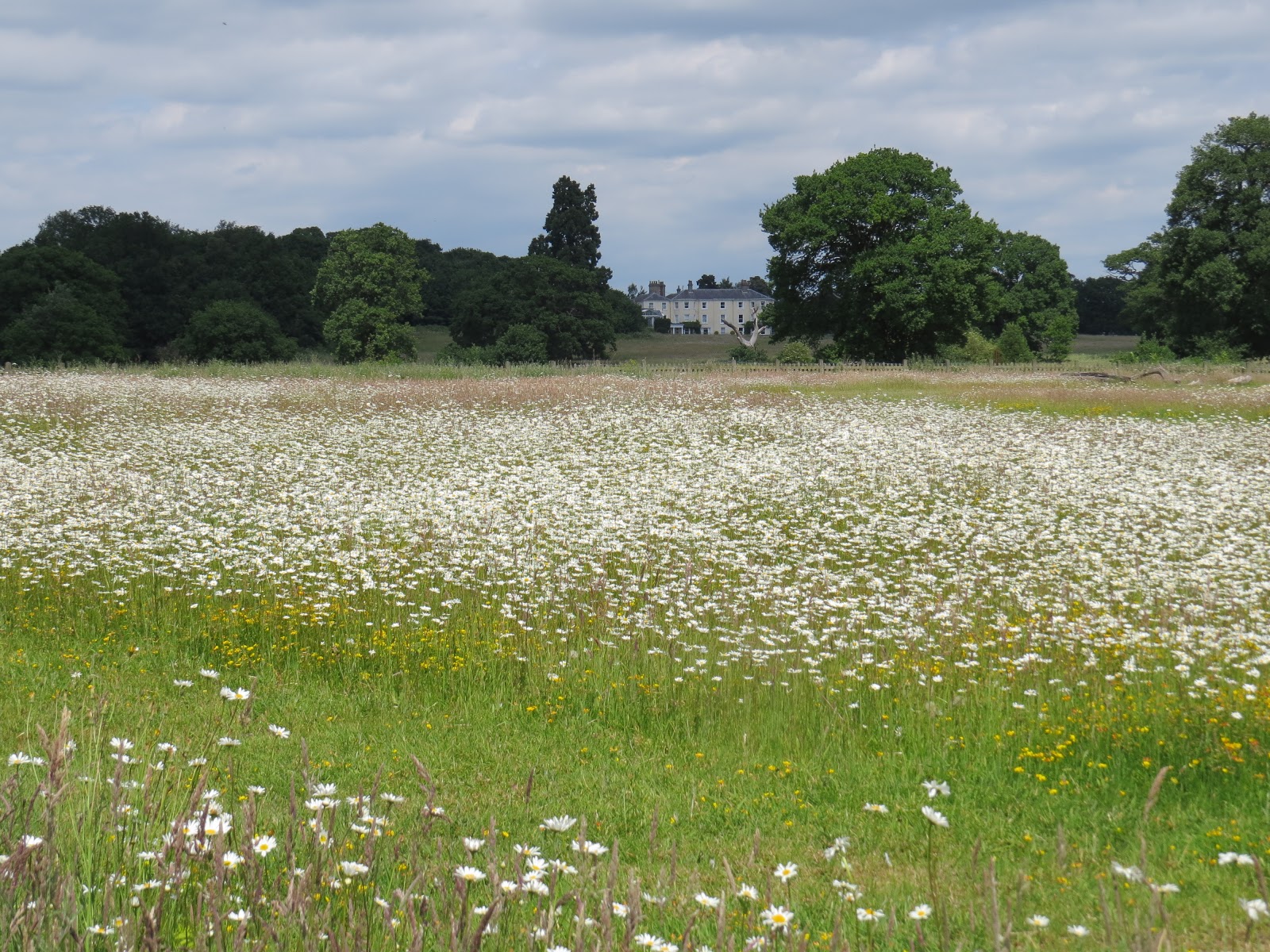 Catton Park.JPG