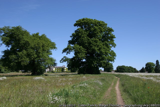 Catton-Park.jpg