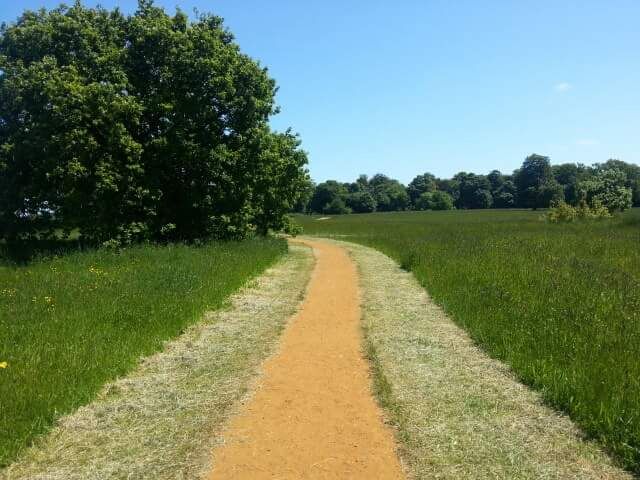 Catton Park0690a23b56d4c32a670da4c63ce727ea.jpg