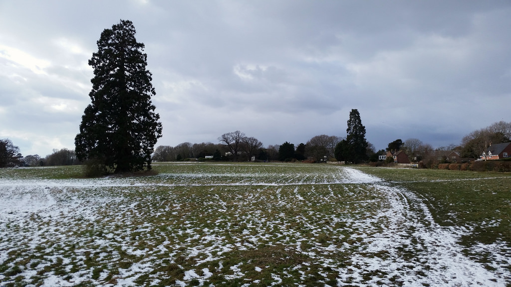 Catton Park38710501440_b8a25d60a3_b.jpg