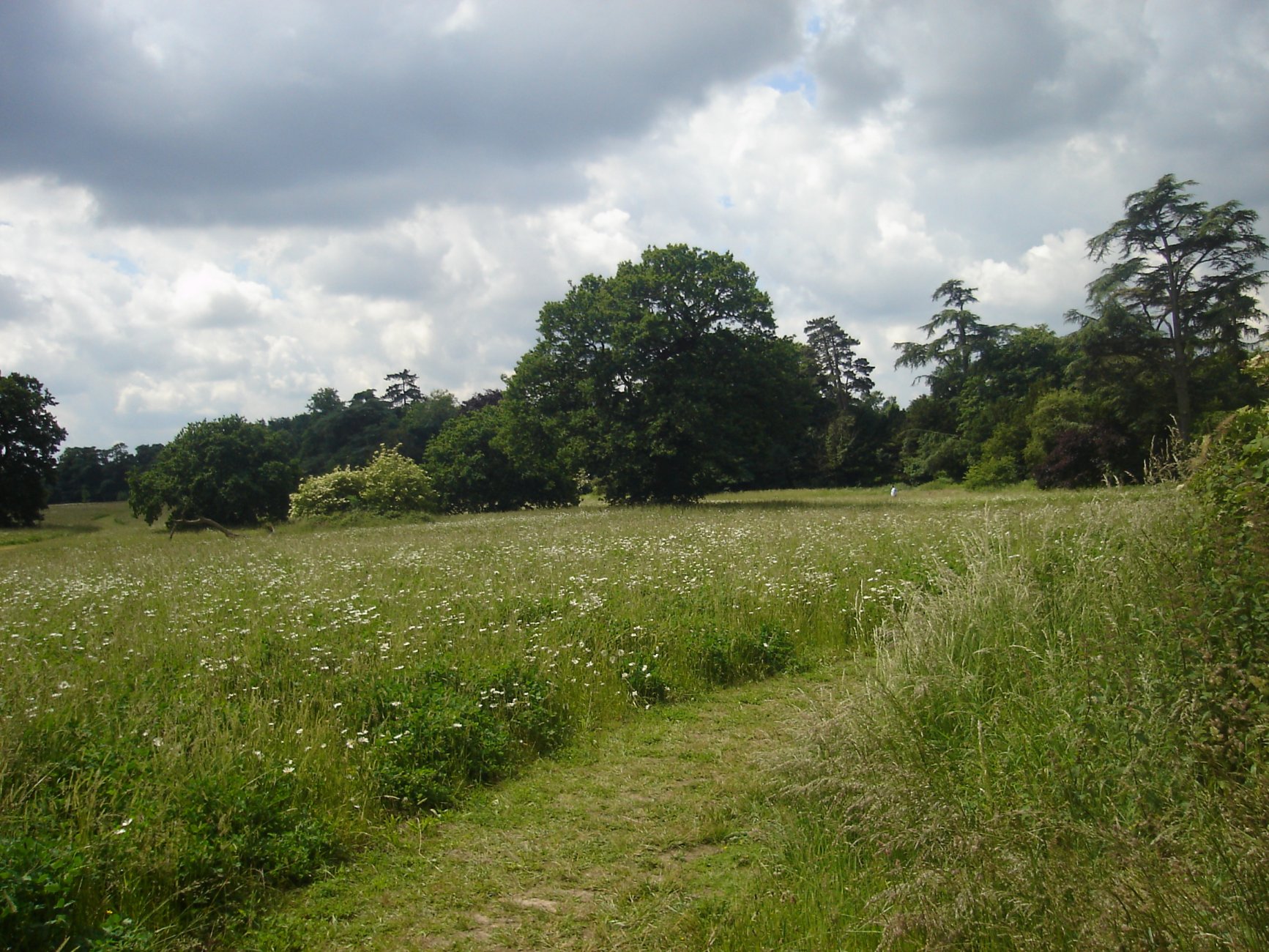 Catton_Park.JPG