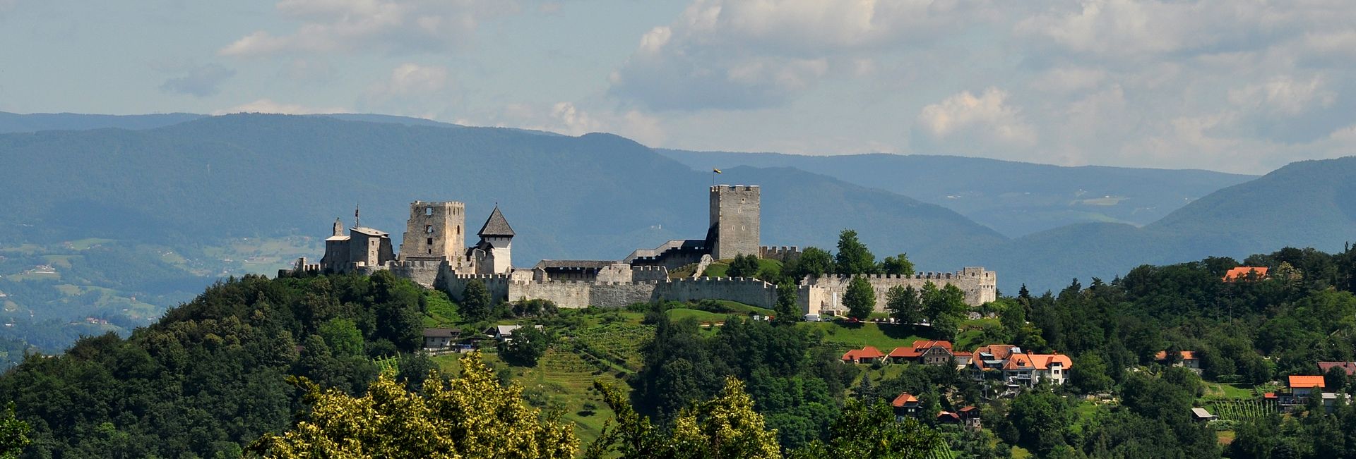 Celjski_grad_s_Pečovnika.jpg
