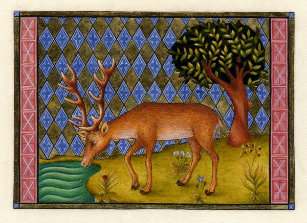 cerf du lac.jpg