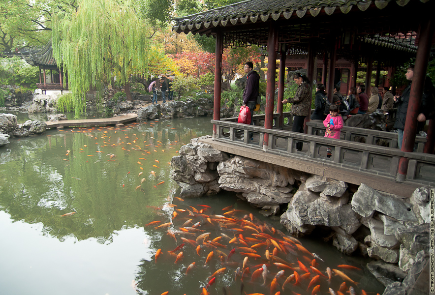 China_2012 (39 of 264).jpg