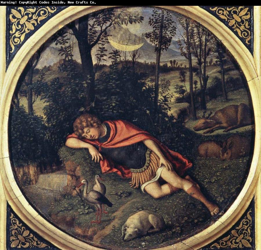 CIMA da Conegliano-326269.jpg