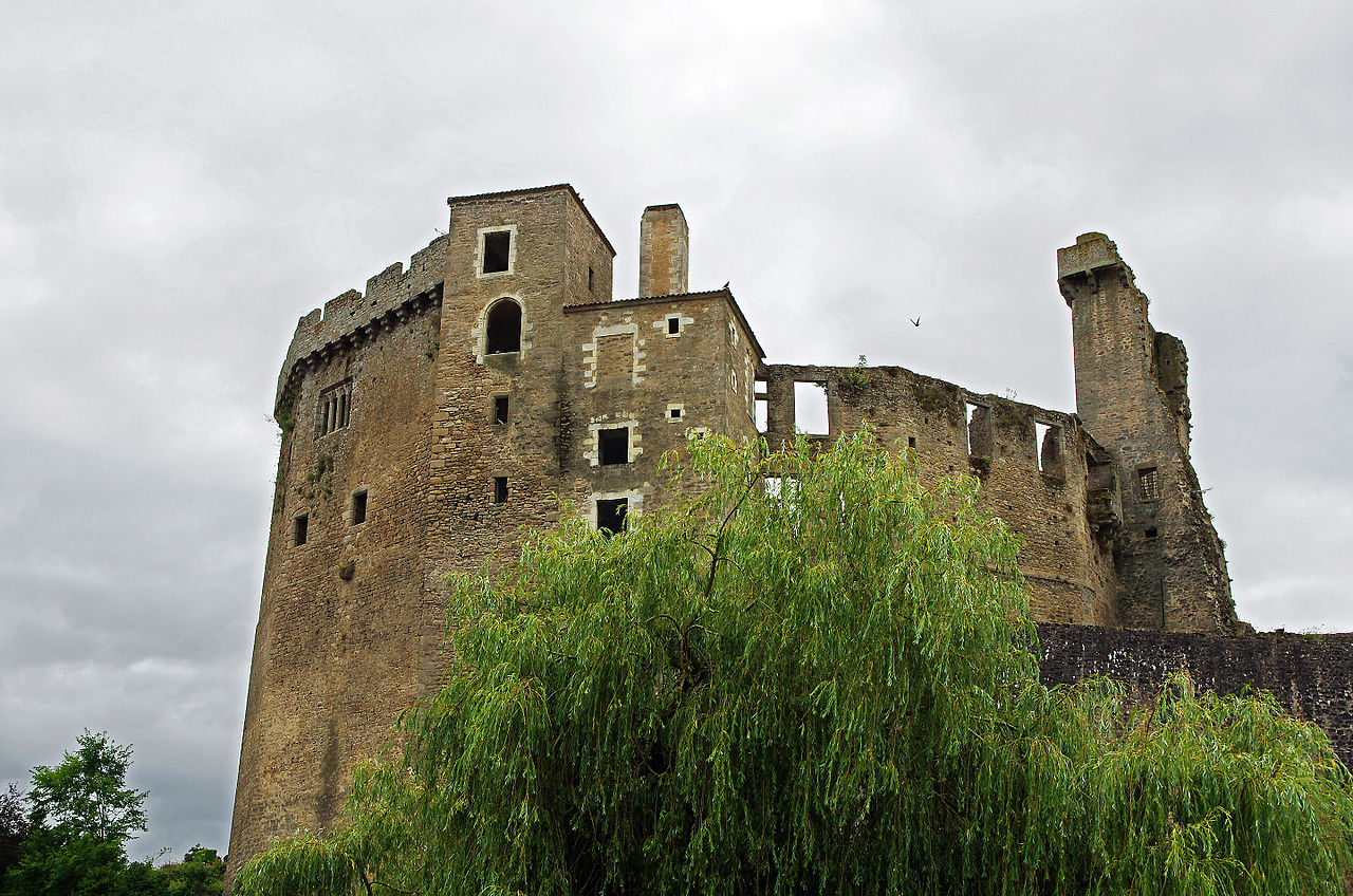 Clisson_(Loire-Atlantique)_(24454122006).jpg