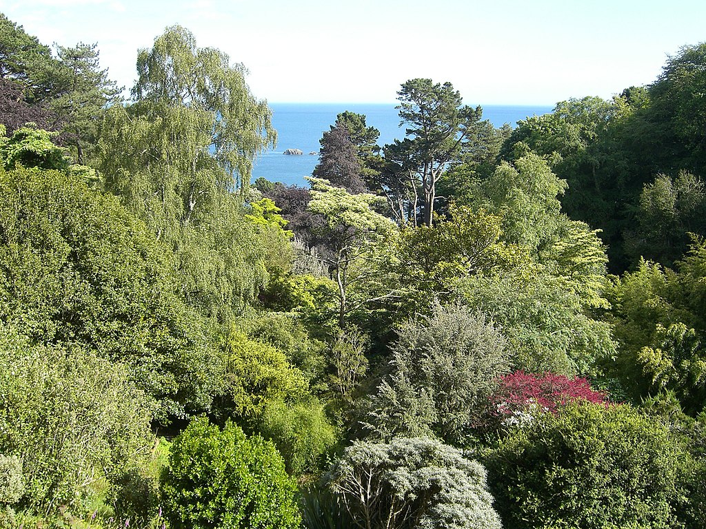 Coleton_Fishacre_view_of_sea_-_panoramio.jpg