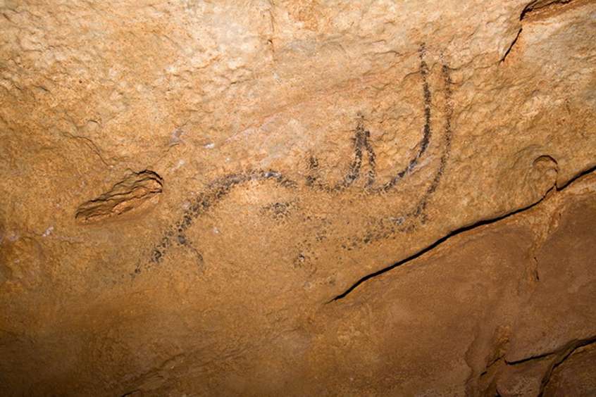 Coliboaia Caverhinocoliboaia1.jpg