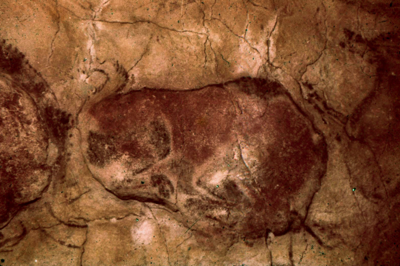 Cueva_de_Altamira-19621007-002.jpg