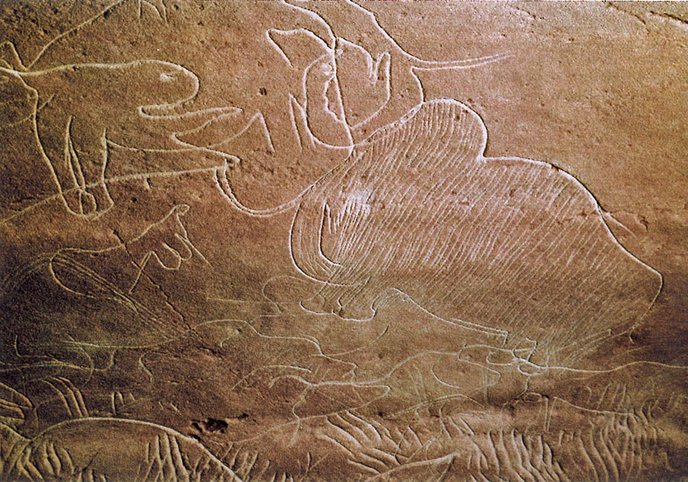 cussacmammoth.jpg