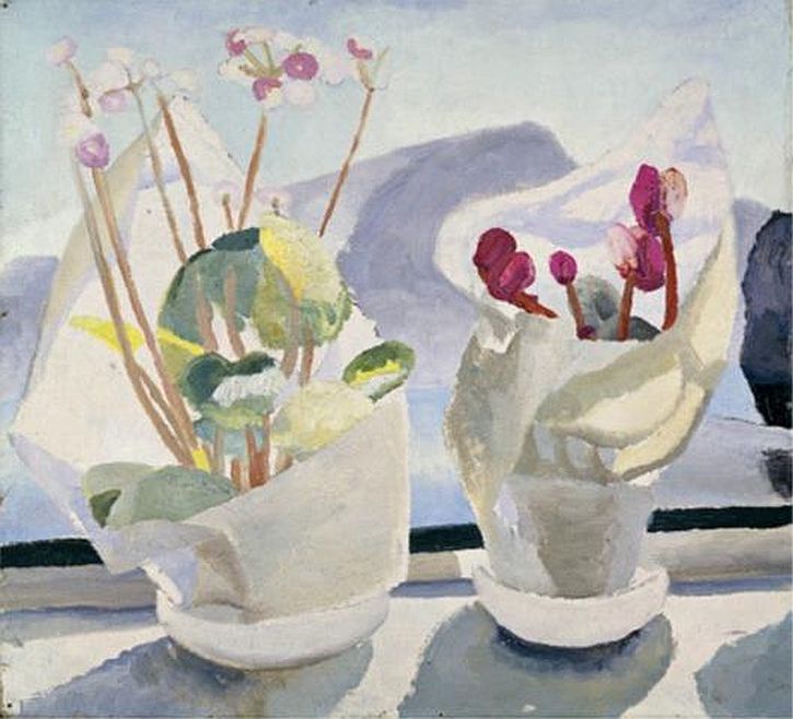 cyclamen-and-primula-1922-23.jpg