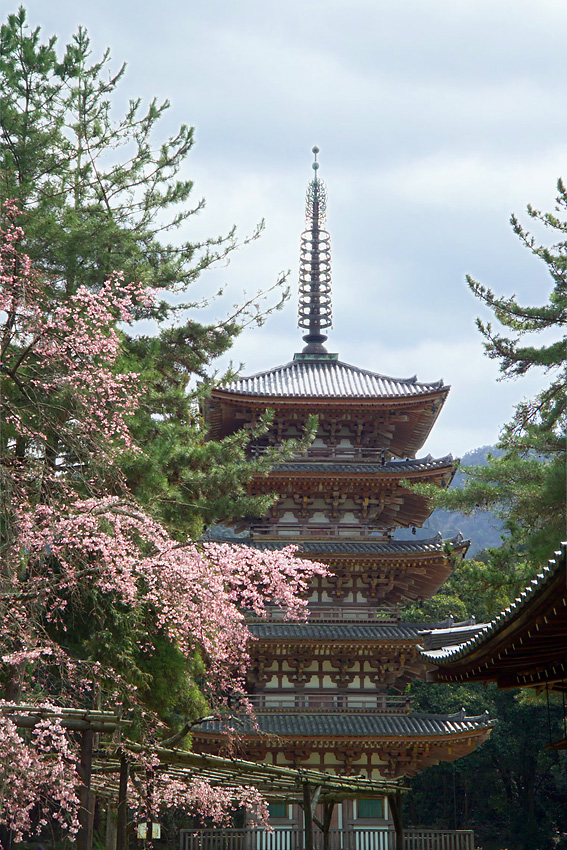 DaigojiPagoda3242.jpg