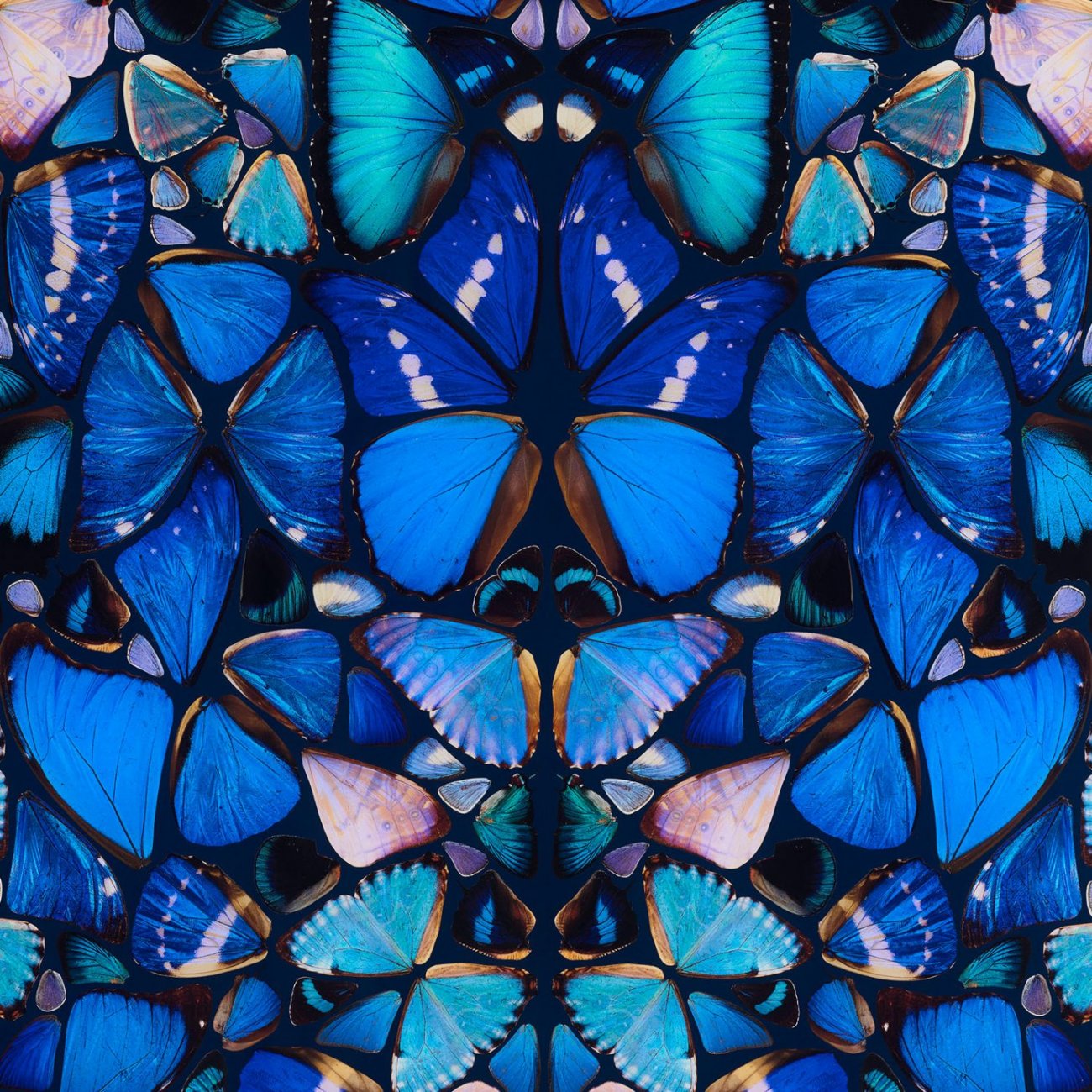 Damien Hirst, H6-1, Mercy анг.jpeg