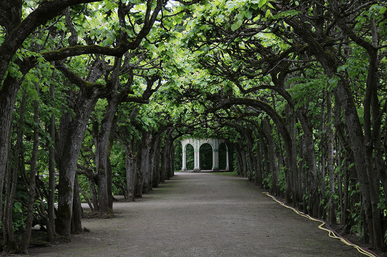 Die_Eremitage_in_Bayreuth._IMG_2165.JPG