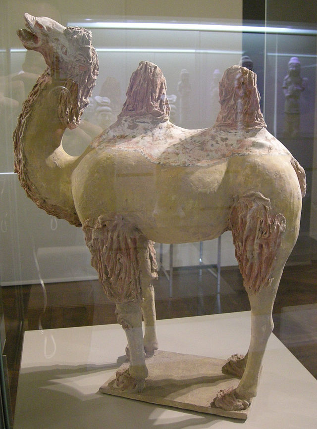 Dinastia_tang,_cina_sett.le,_cammello_battriano,_650-750_ca.JPG