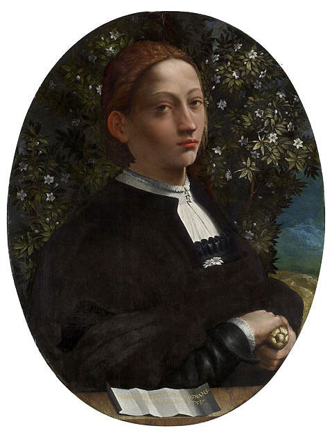 Dossi_dossi,_lucrezia_borgia,_1518_circa02.jpg