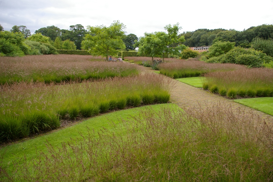 Drifts of grass.JPG