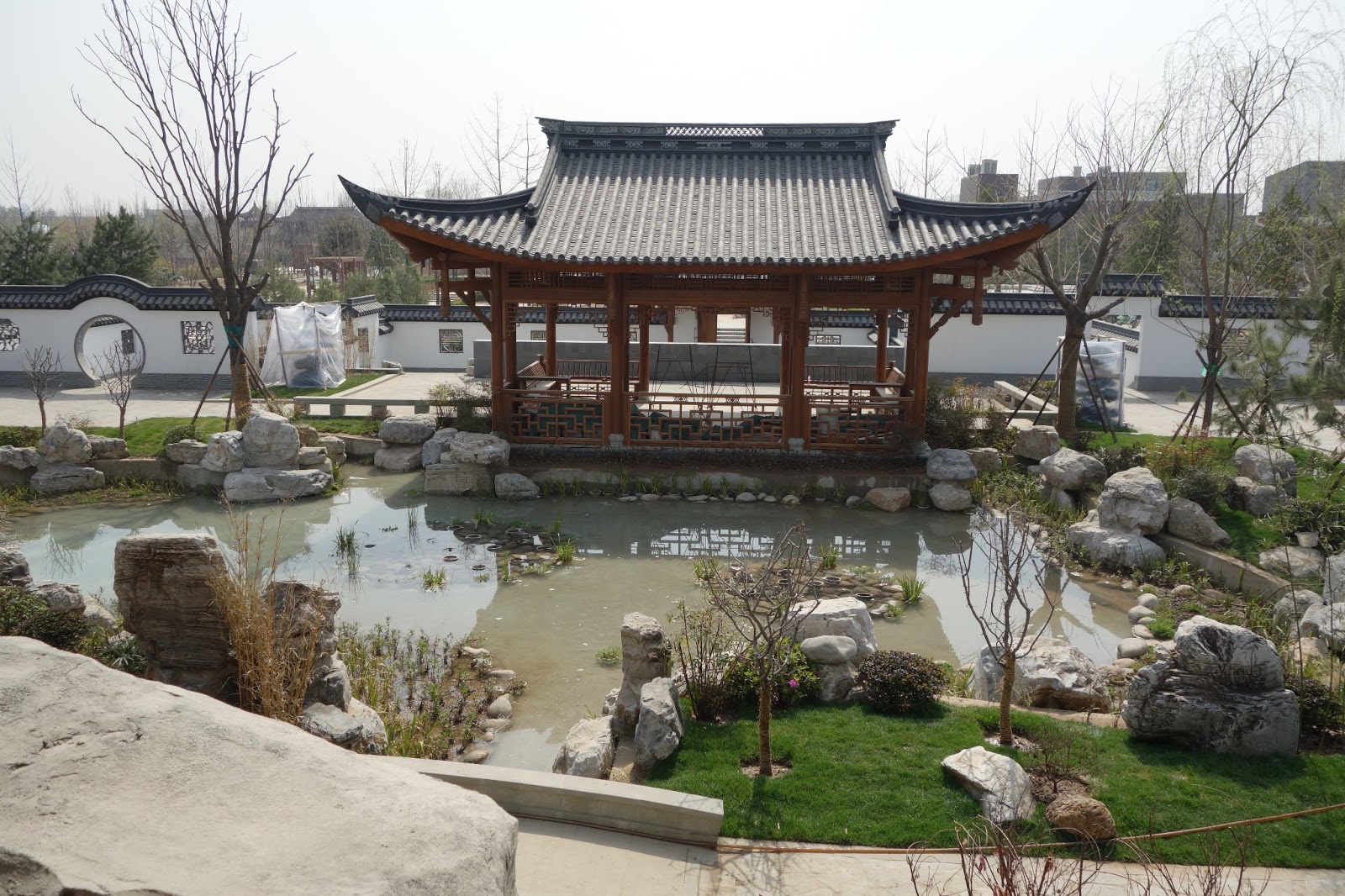 DSC01107.JPG