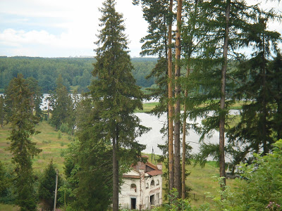 DSC08806.jpg