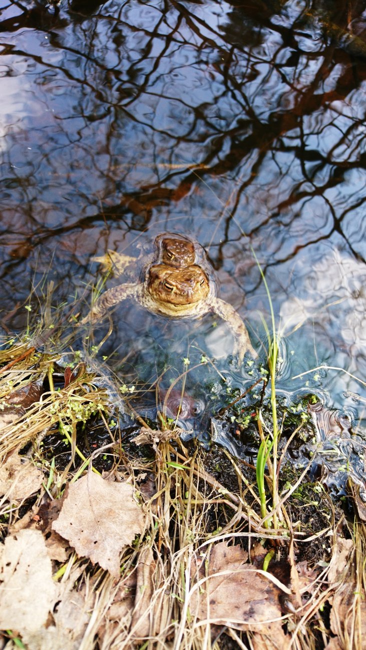 DSC_0810.JPG
