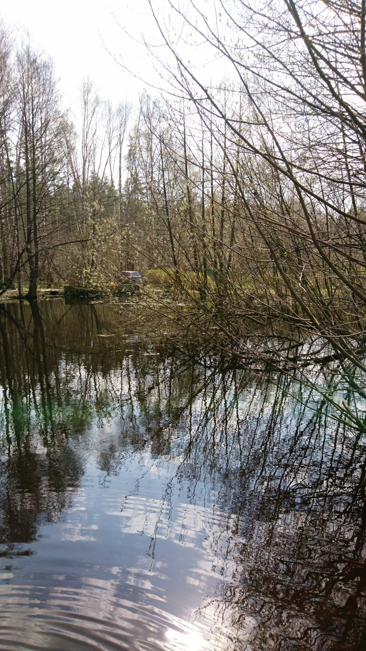 DSC_0816.JPG
