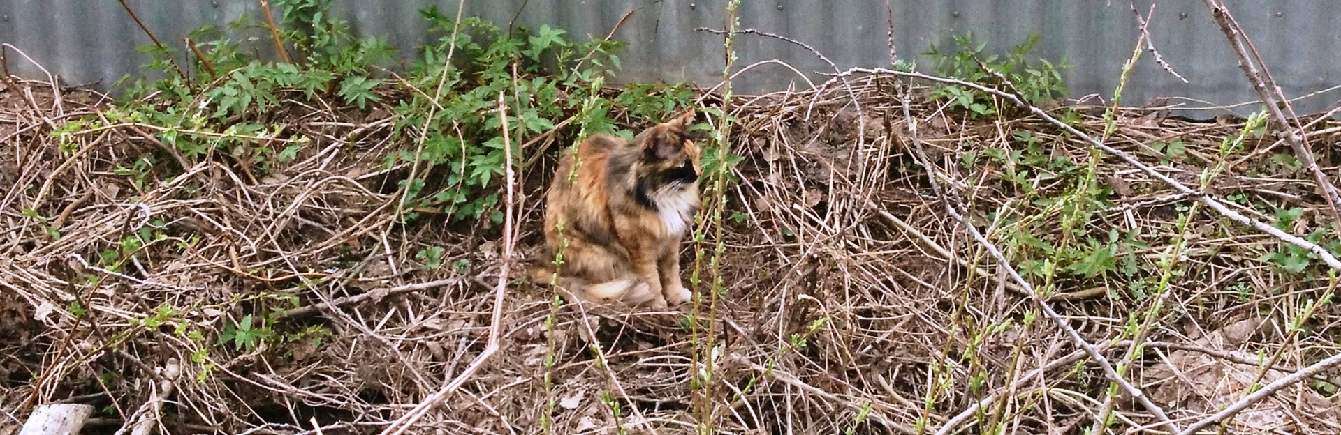 DSC_0824.JPG