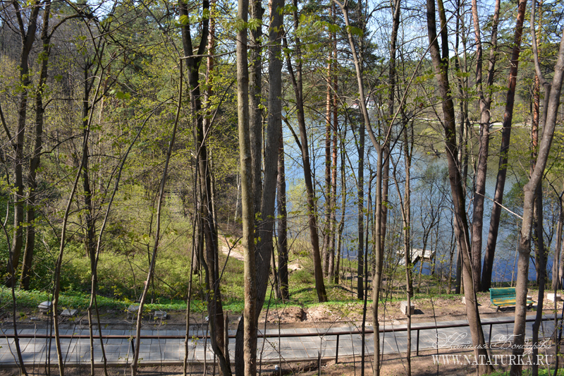 dsc_3318_podushkino.jpg