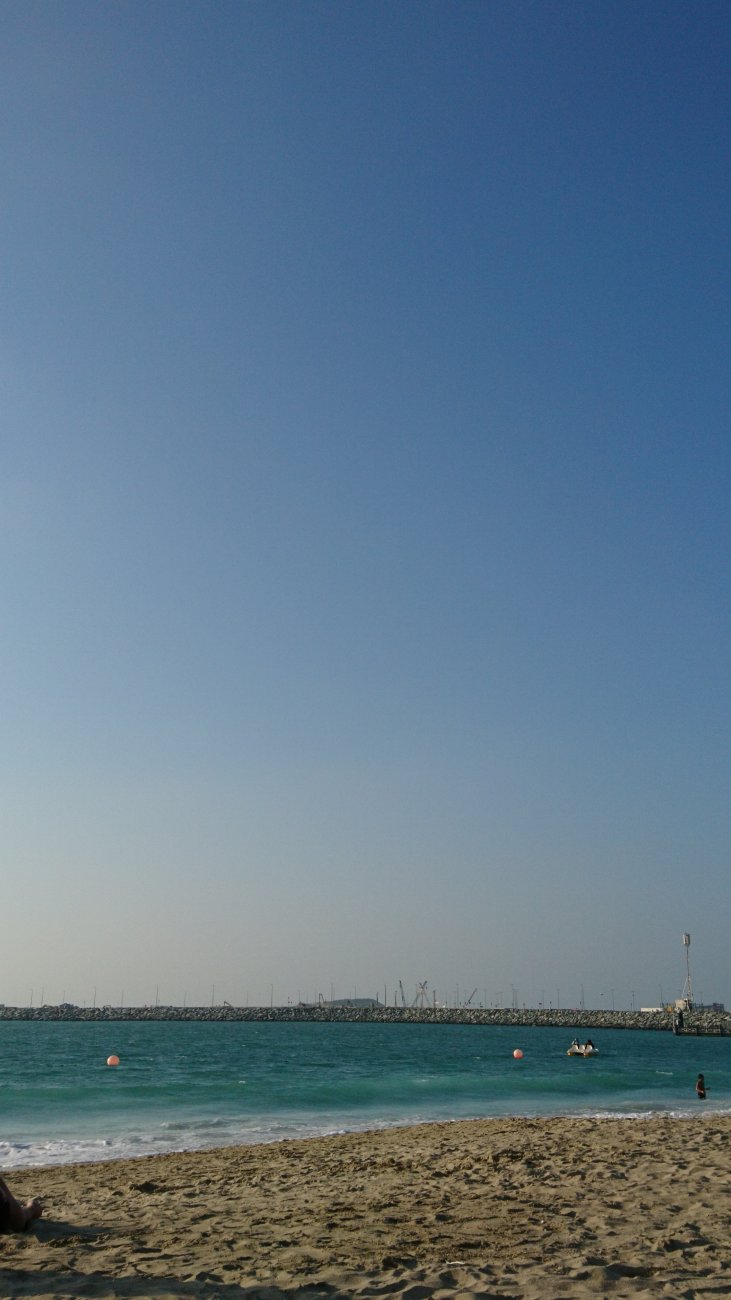 DSC_3950.JPG