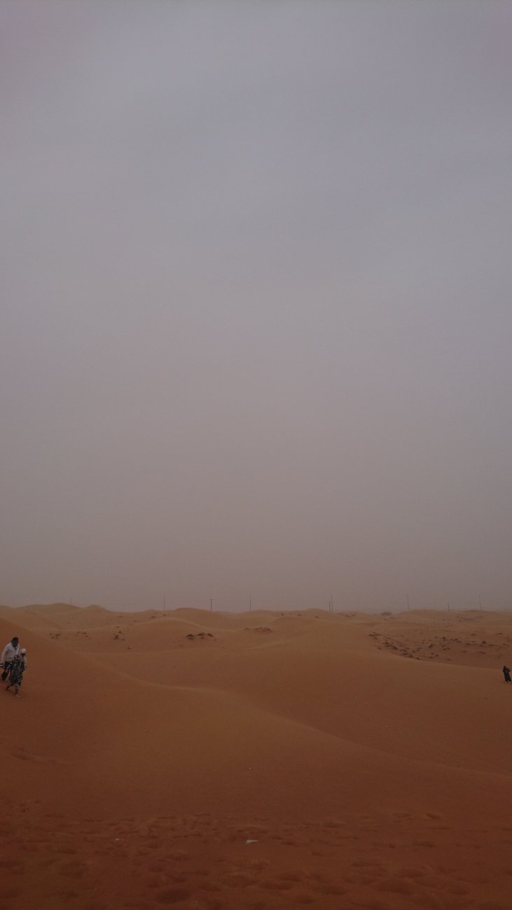 DSC_3980.JPG