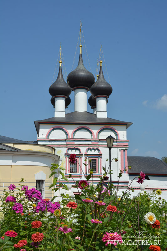 dsc_5320-lopasnya.jpg