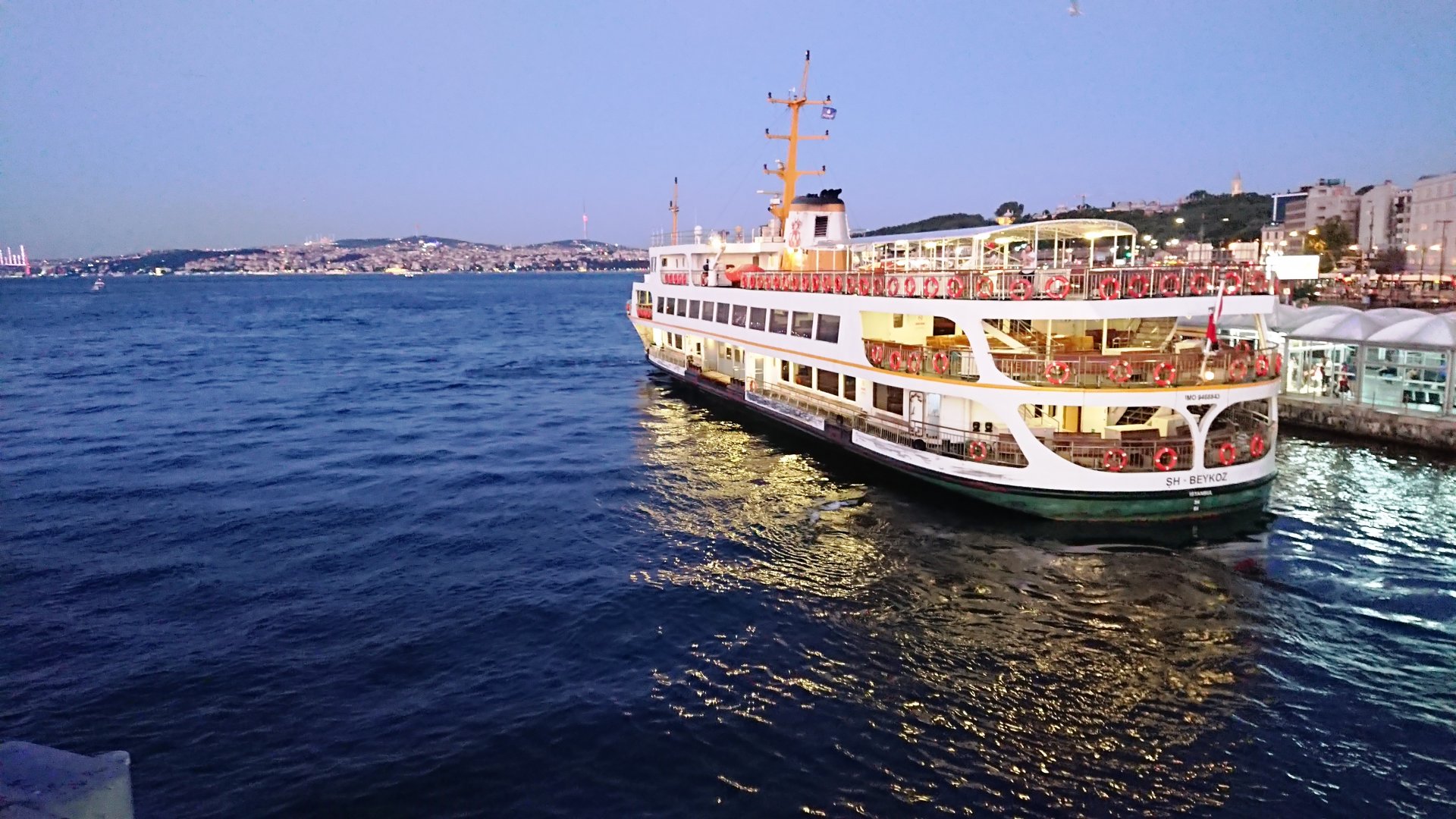 DSC_5895.JPG