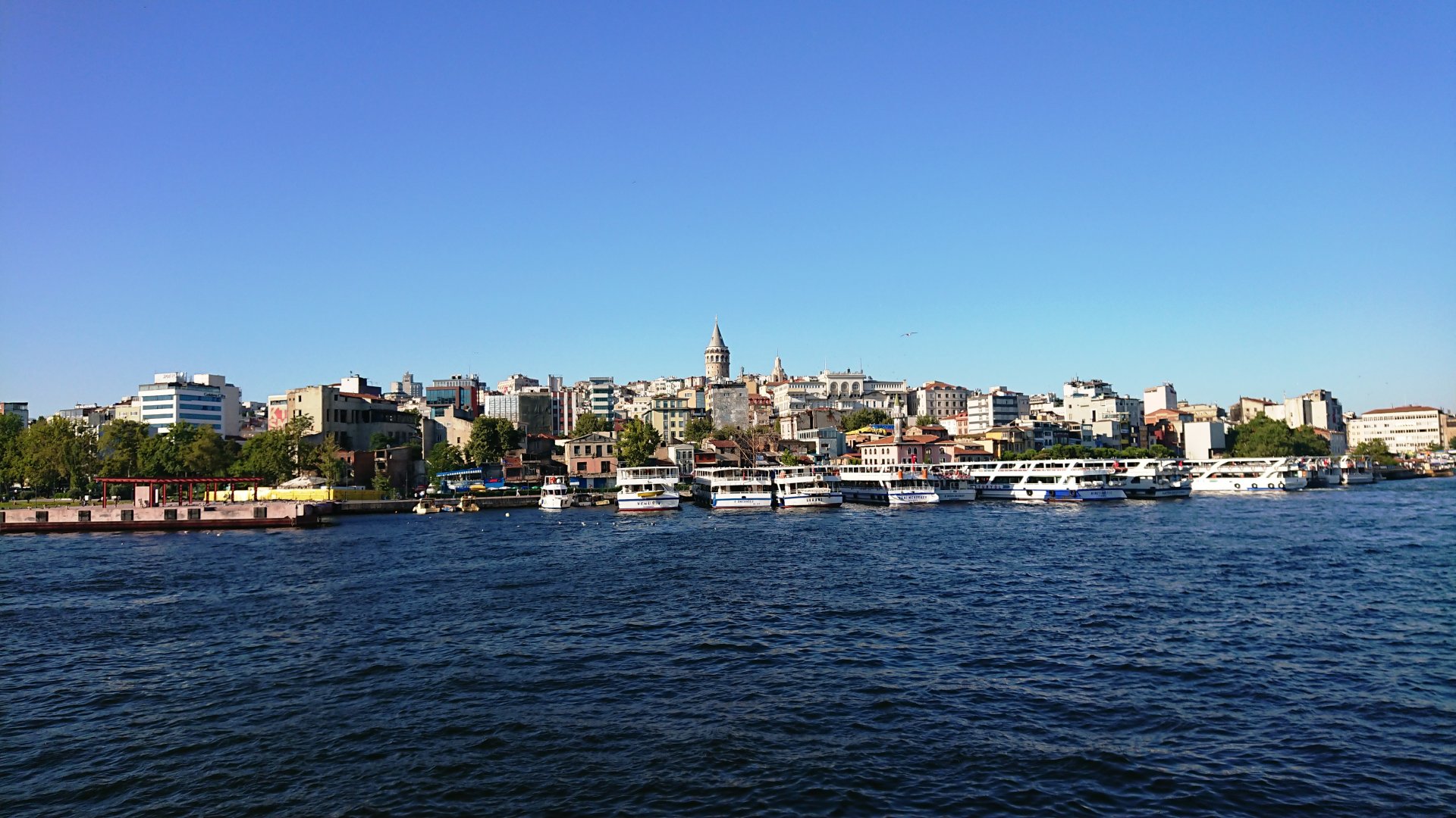 DSC_5973.JPG