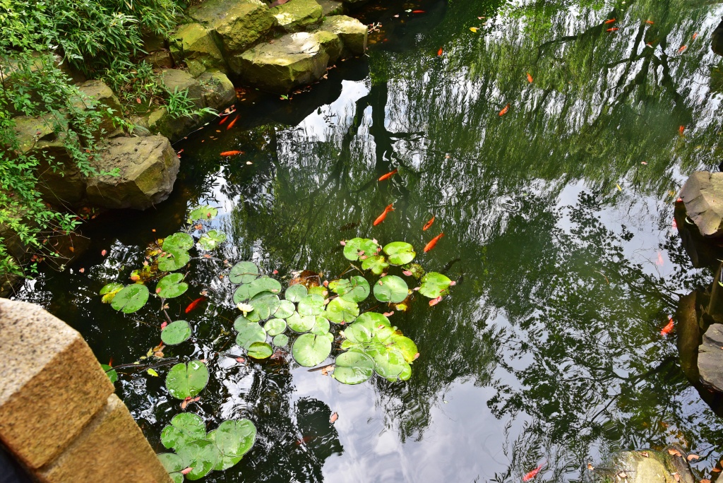 DSC_9680.JPG